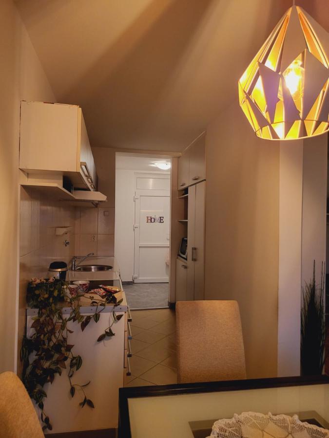 Dolly Apartment Airport Velika Gorica Bagian luar foto