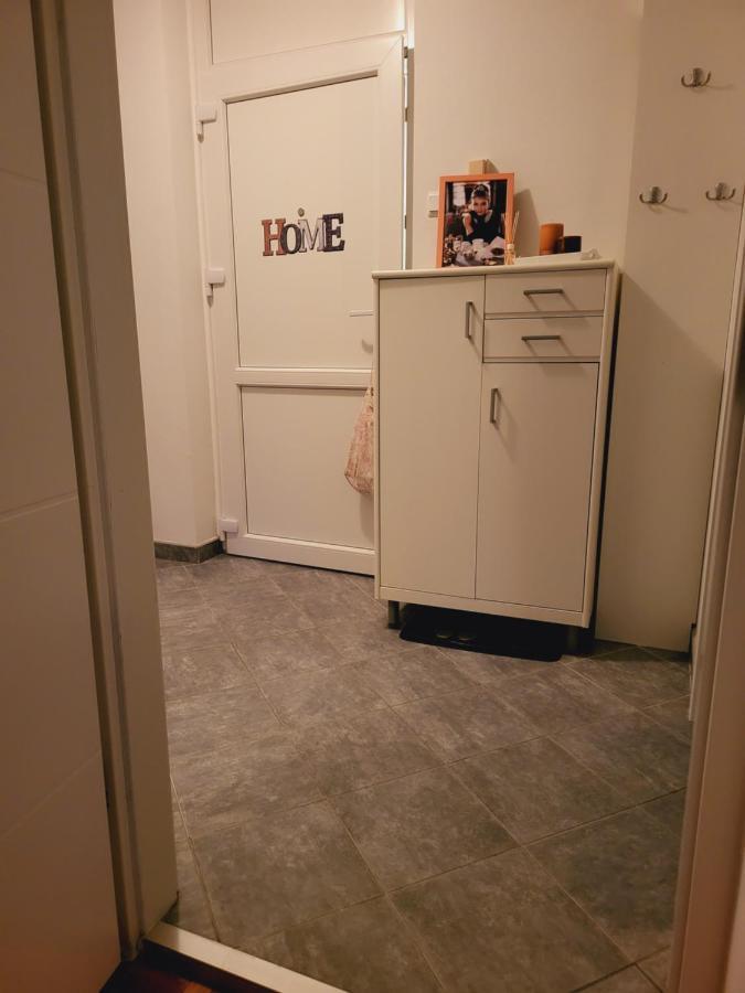 Dolly Apartment Airport Velika Gorica Bagian luar foto